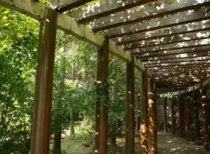 花架施工要點(diǎn)