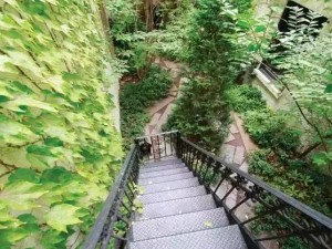 2015ASLA住宅設(shè)計(jì)類(lèi)榮譽(yù)獎(jiǎng)——美國(guó)布魯克林綠洲花園 (9)