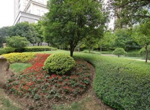 園林綠化植物養護管理方案匯總 (3)