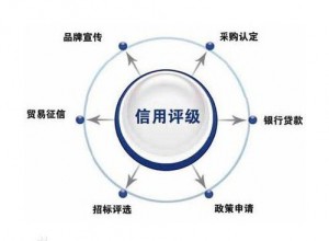 信用評級的基本定義