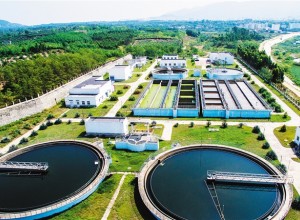 廣東廣業林茂投資有限公司所轄污水處理廠區綠化、保潔及安保服務采購項目招標公告