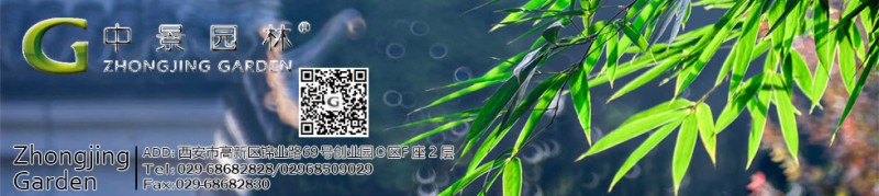 中景首頁(yè)橫幅廣告