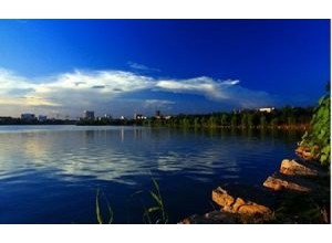 黃岡市遺愛湖風景區管理處園區綠化養護招標公告