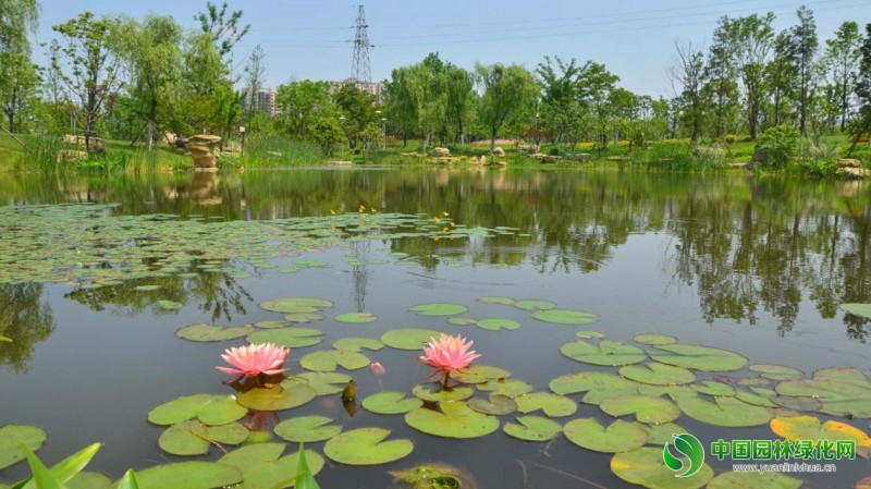 安慶康熙河項(xiàng)目 5