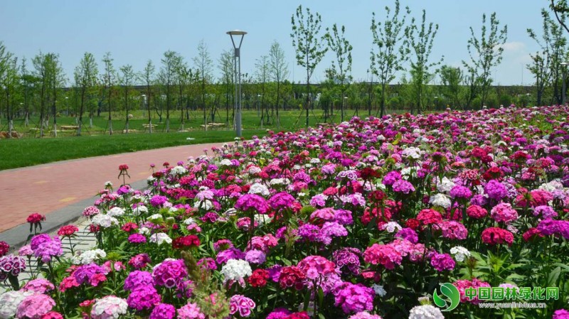 安慶康熙河項(xiàng)目9