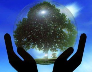 冷水江市林業局“12.4全國法制宣傳日”開展林業政策法規宣傳