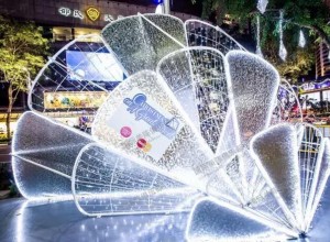 酷炫五彩燈光點亮黑夜 (28)