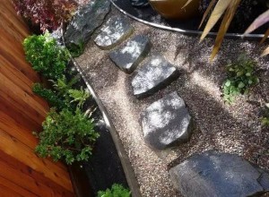 庭院小徑（一） (26)