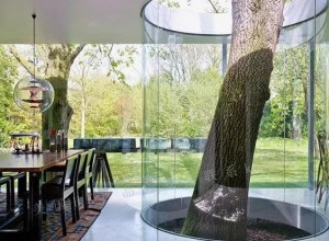 當你的房子里有一顆樹 (30)