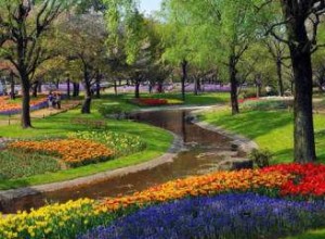 河南遂平縣林業(yè)局陽豐街片林綠化苗木采購項(xiàng)目競爭性談判公告